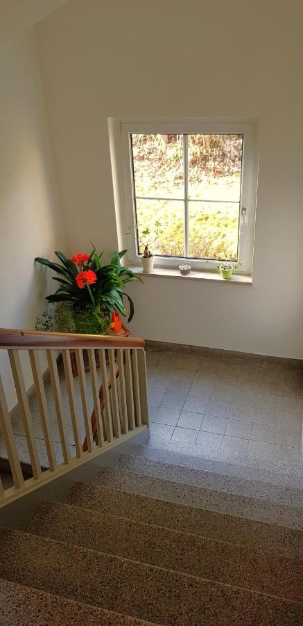 Goldbrunnen Apartment Bad Elster
